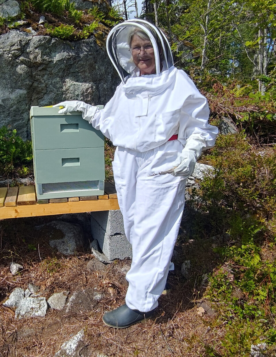 CROPPED_Bees on Rindö