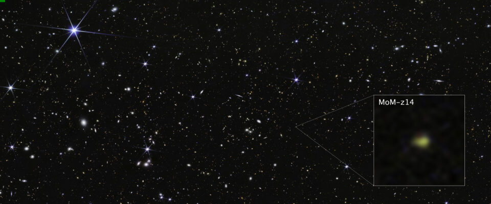 COSMOS Field MoM-z14 Galaxy (NIRCam pullout image)